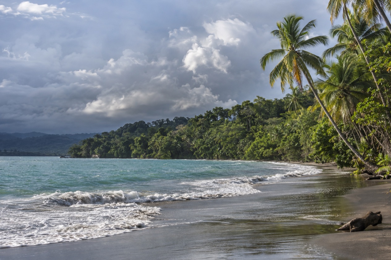A palm-lined Caribbean beach near Puerto Viejo in the rainiest months