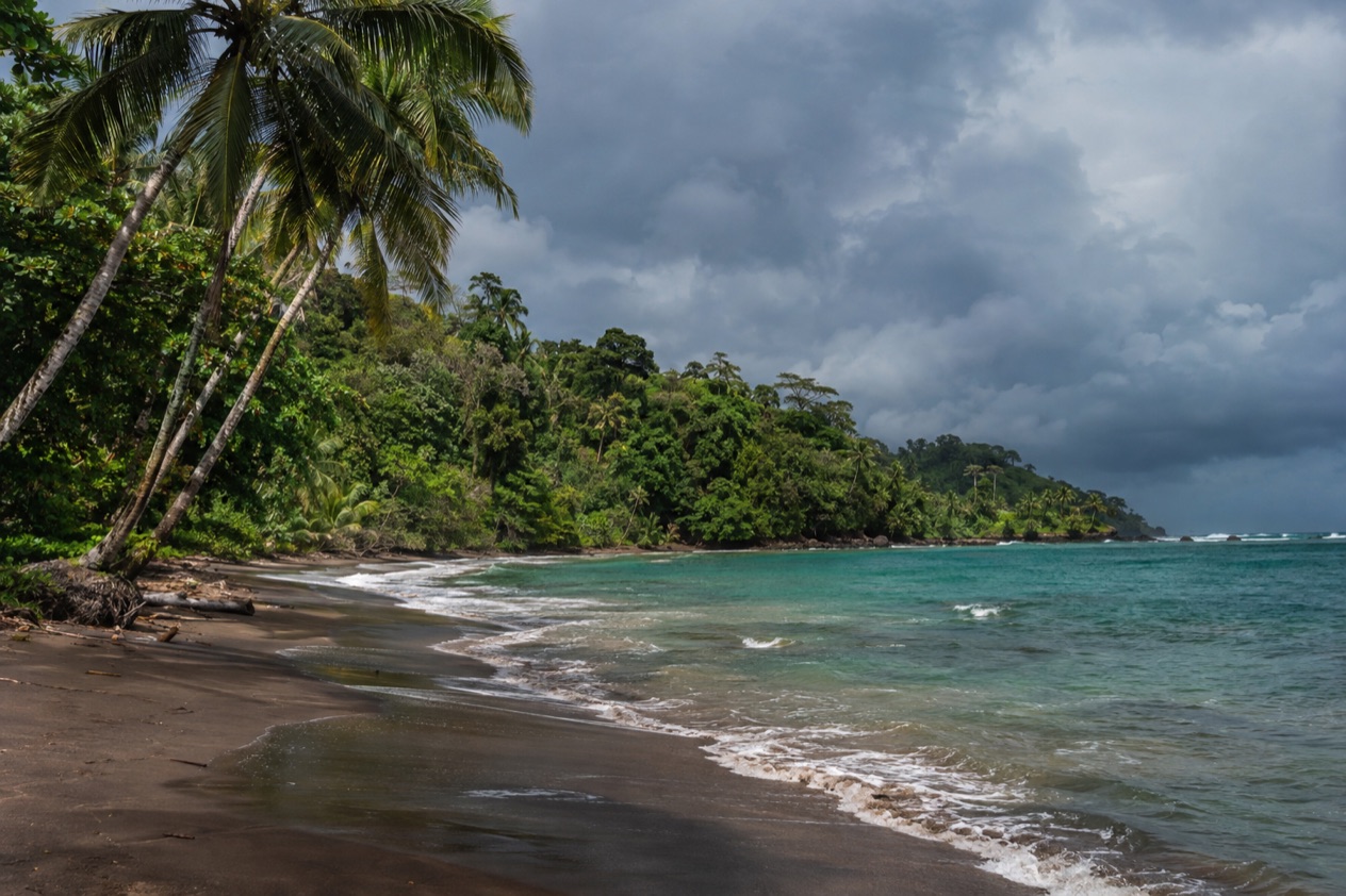 A palm-lined Caribbean beach near Puerto Viejo in the rainiest months