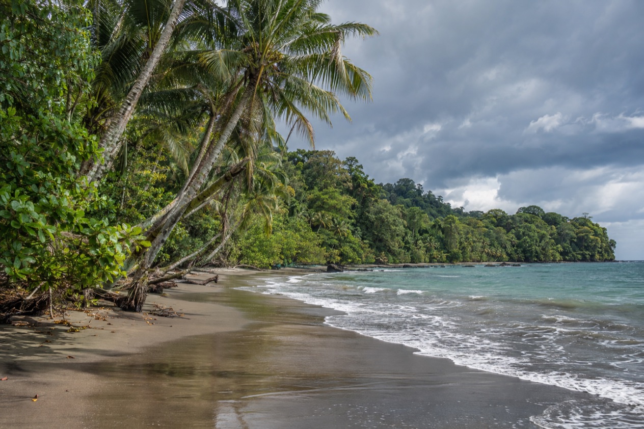 A palm-lined Caribbean beach near Puerto Viejo in the rainiest months
