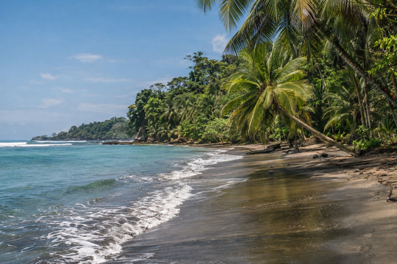 A palm-lined Caribbean beach near Puerto Viejo