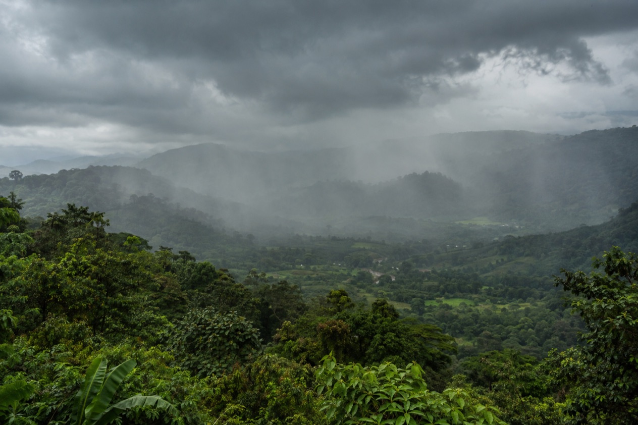 The green season over the hills