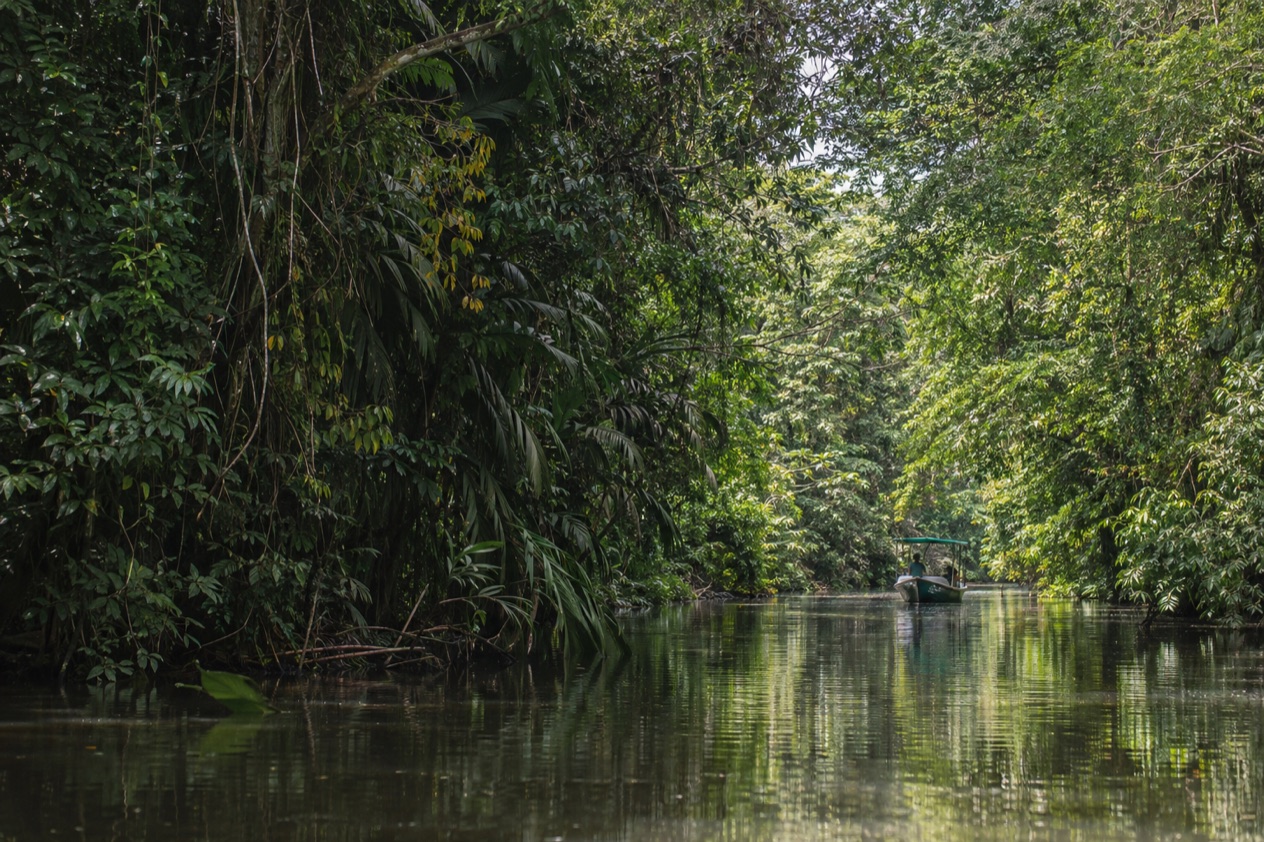 A canal through the rainforest at Tortuguero