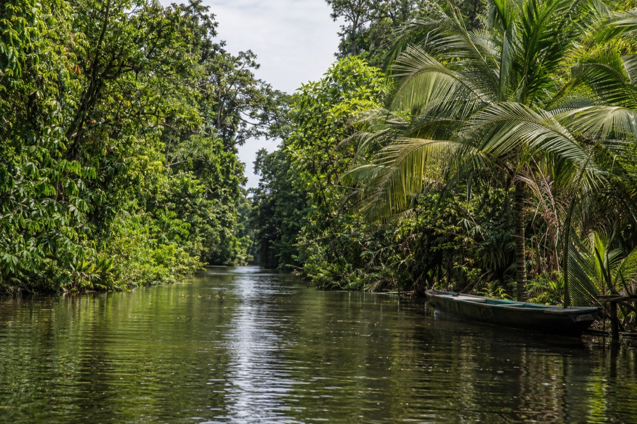 A canal through the rainforest at Tortuguero