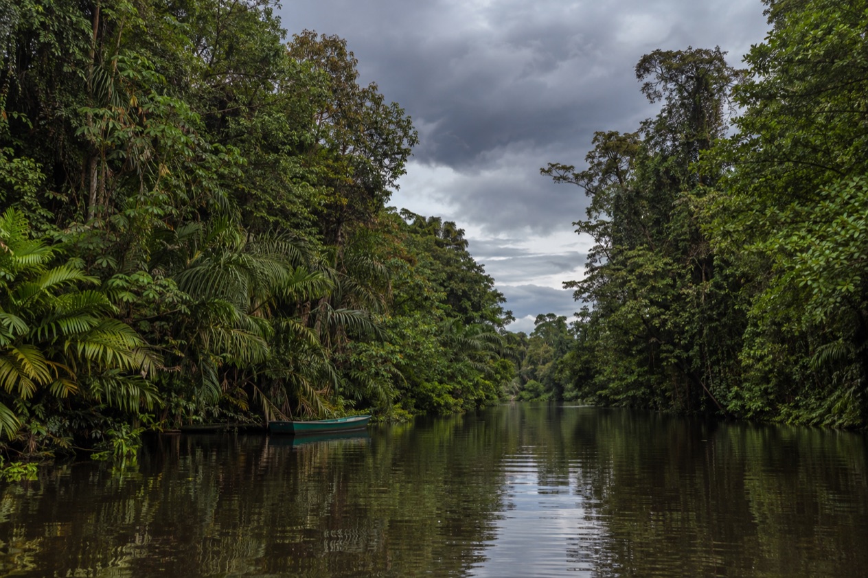 A canal through the rainforest at Tortuguero in the rainiest months