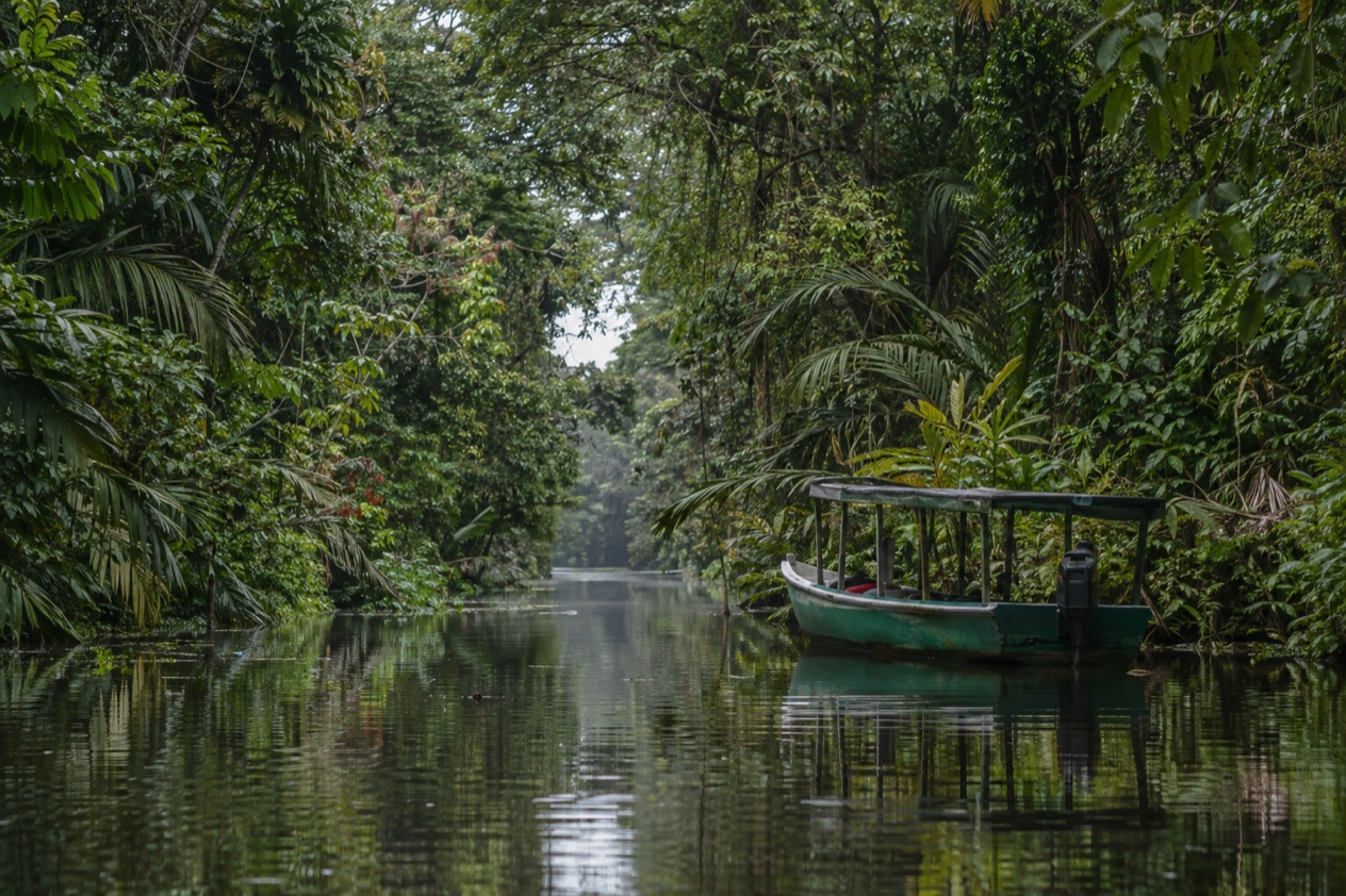 A canal through the rainforest at Tortuguero