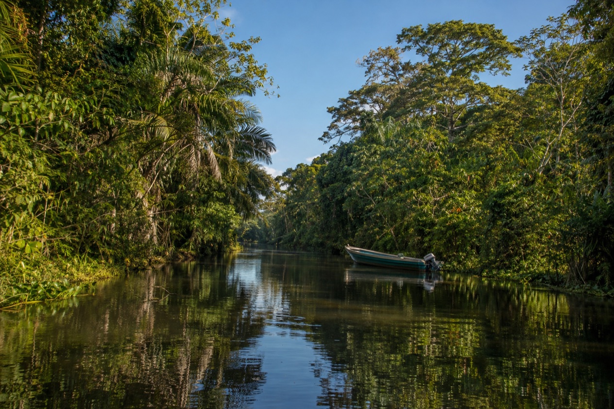 A canal through the rainforest at Tortuguero in the dry season