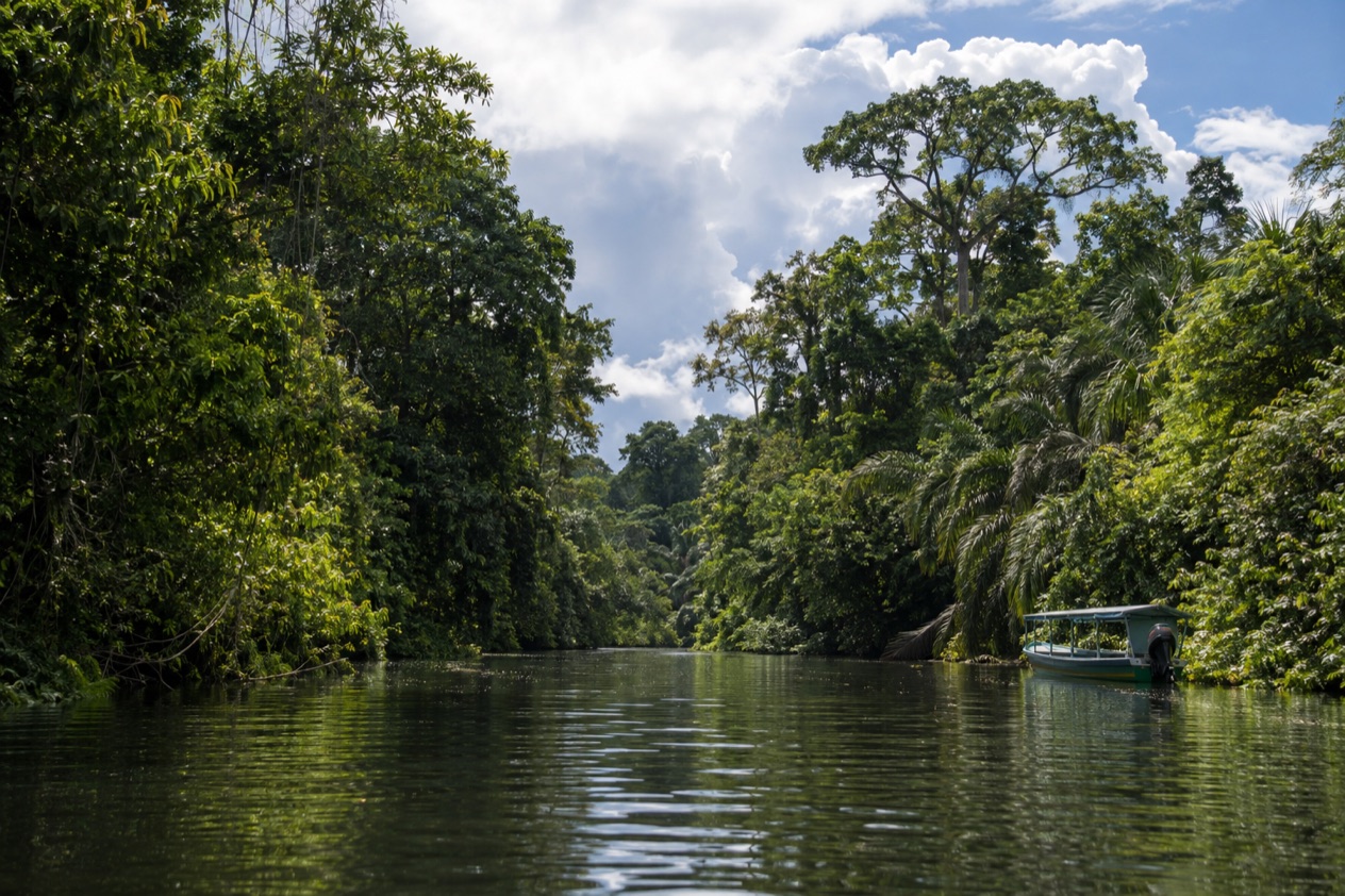 A canal through the rainforest at Tortuguero in the green season