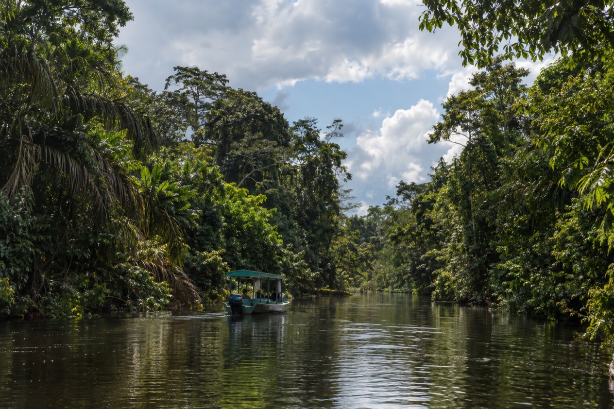 A canal through the rainforest at Tortuguero in the green season