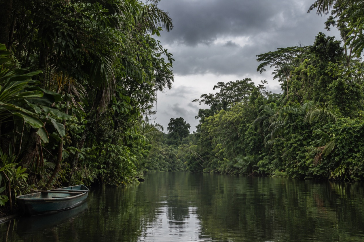 A canal through the rainforest at Tortuguero in the rainiest months