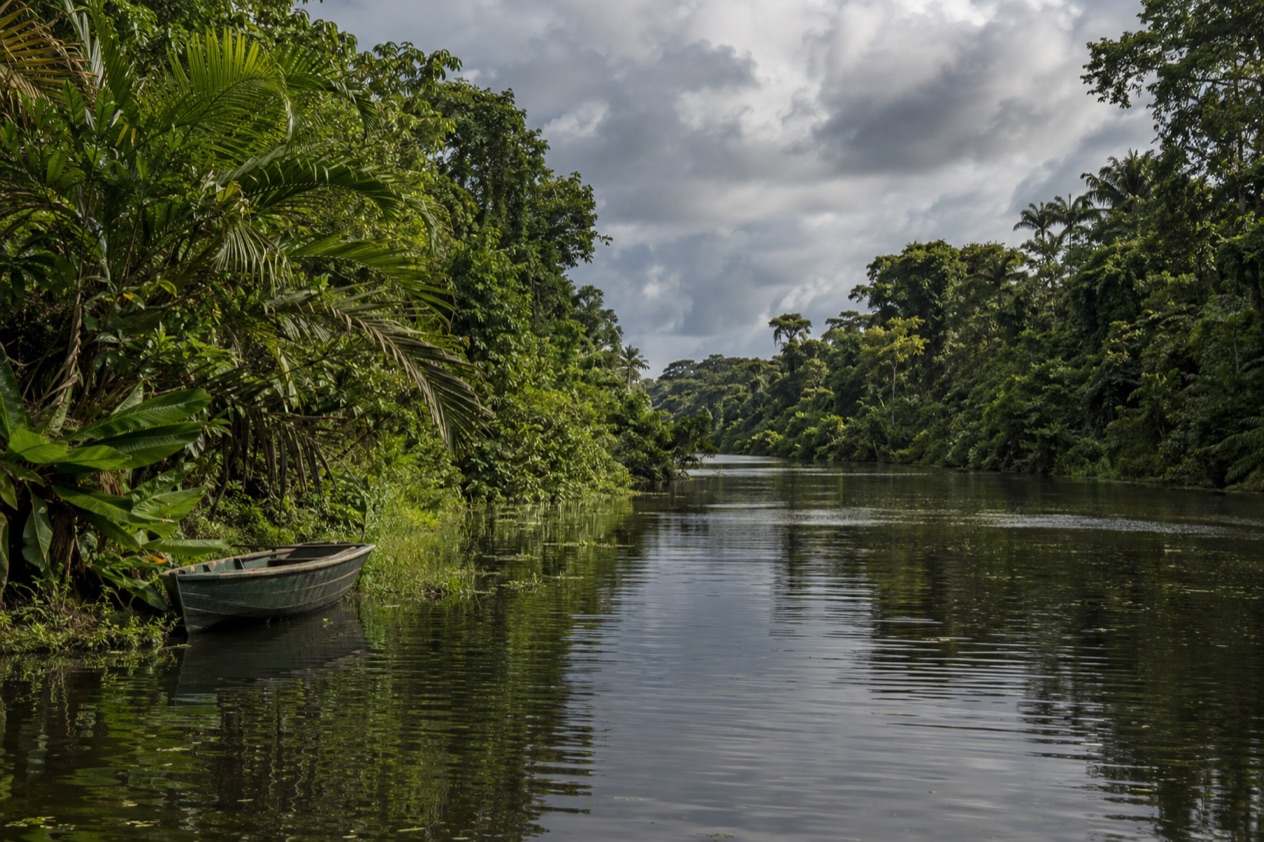 A canal through the rainforest at Tortuguero in the rainiest months
