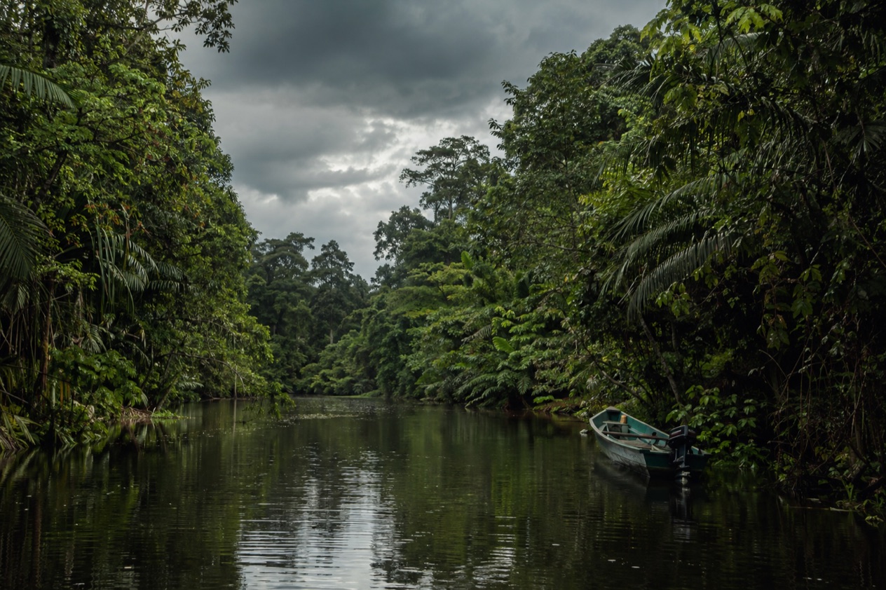 A canal through the rainforest at Tortuguero in the rainiest months