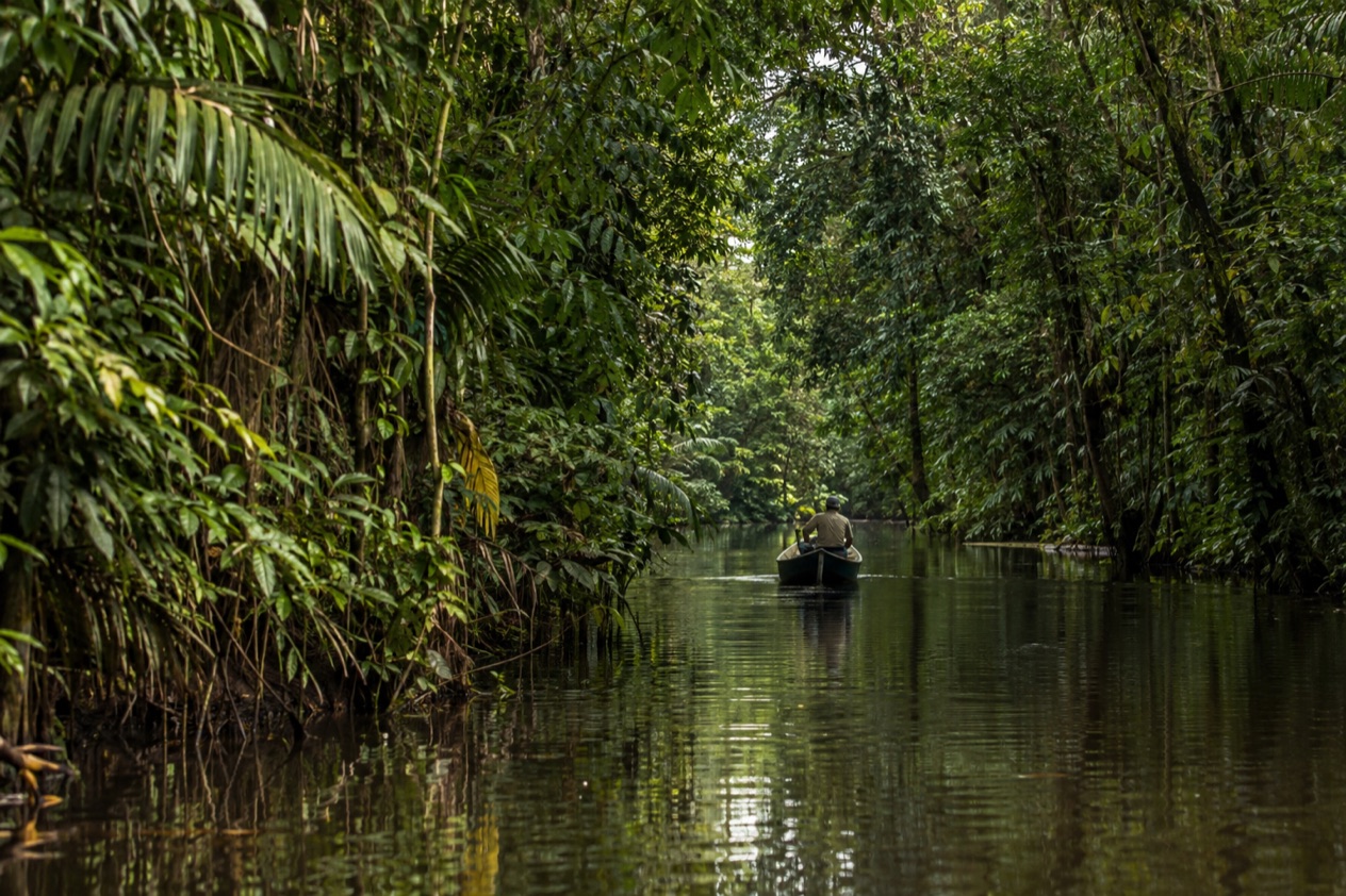 A canal through the rainforest at Tortuguero