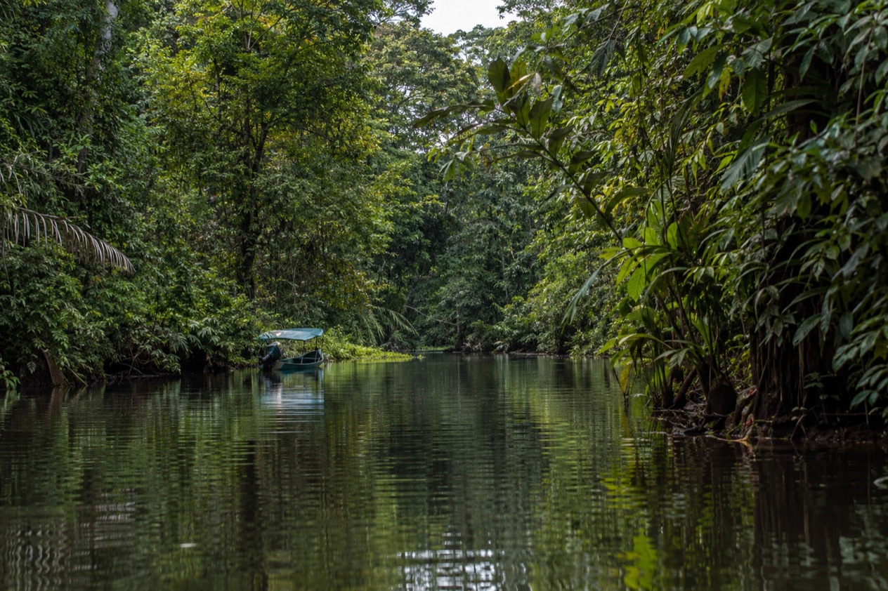 A canal through the rainforest at Tortuguero