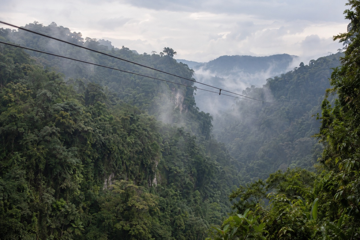 A zip line over the rainforest canopy