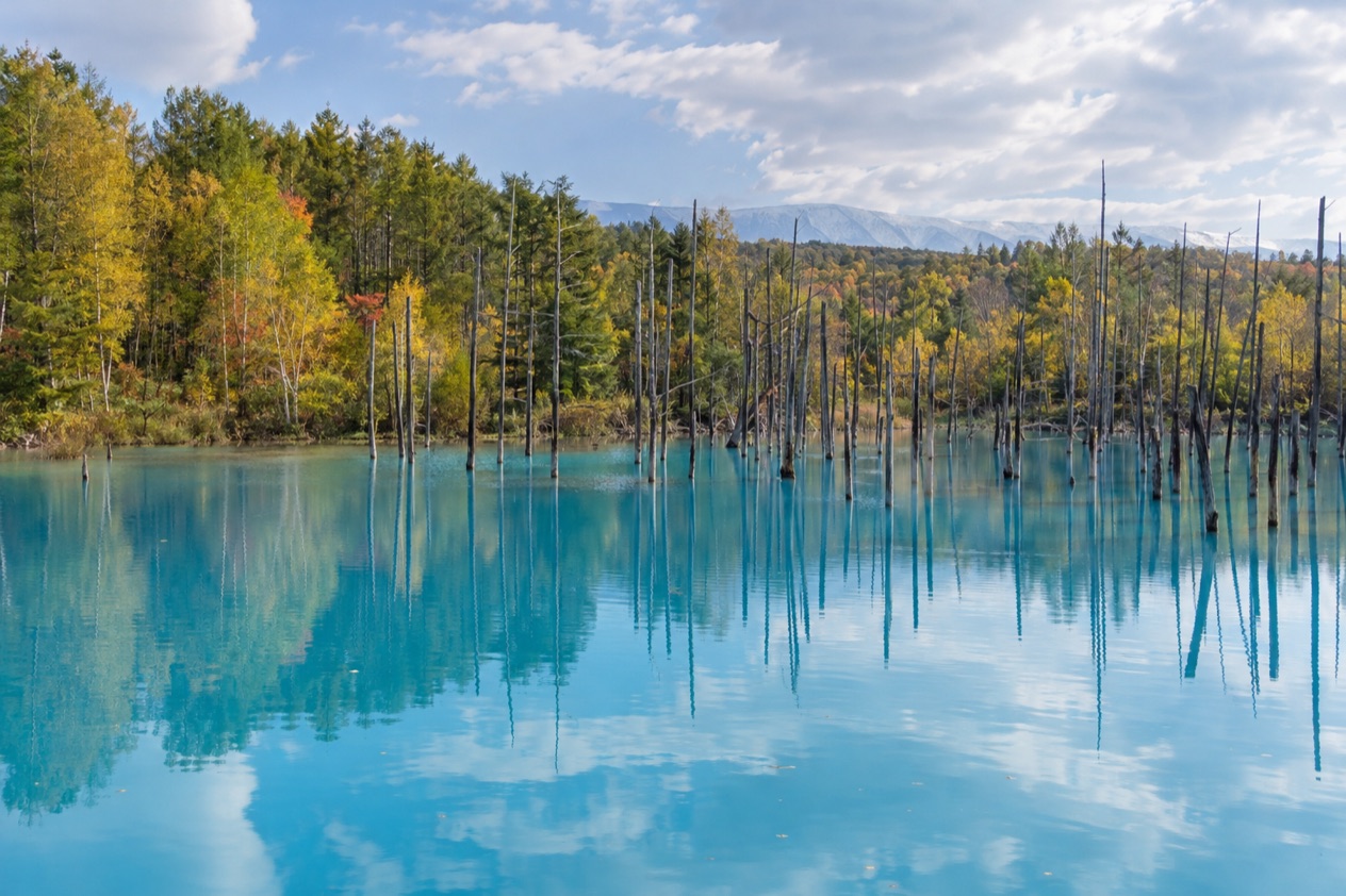 Blue Pond in Biei