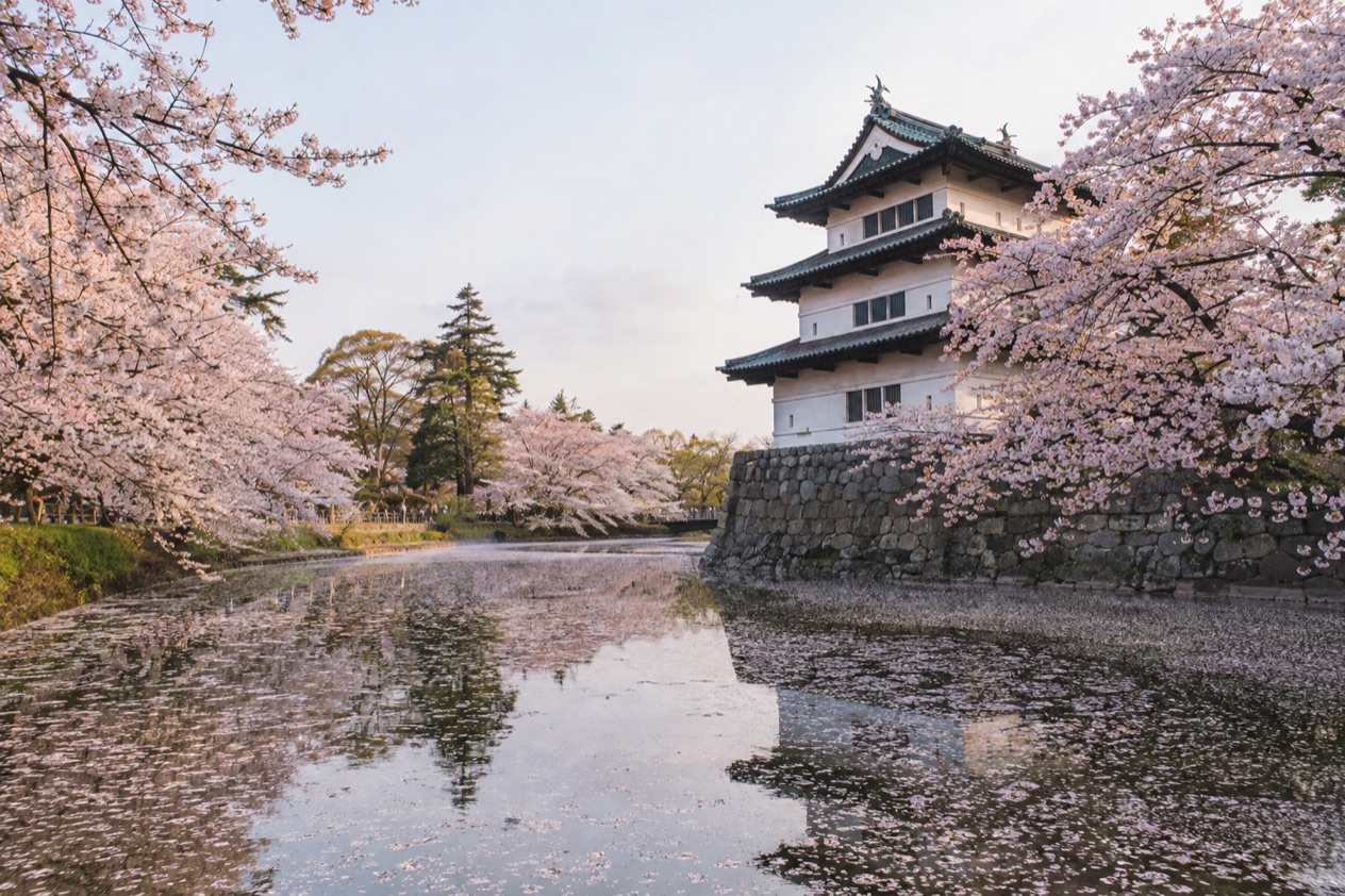 Hirosaki Castle in spring