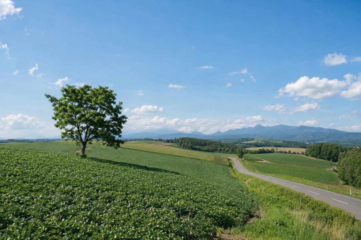 The hills of Hokkaido
