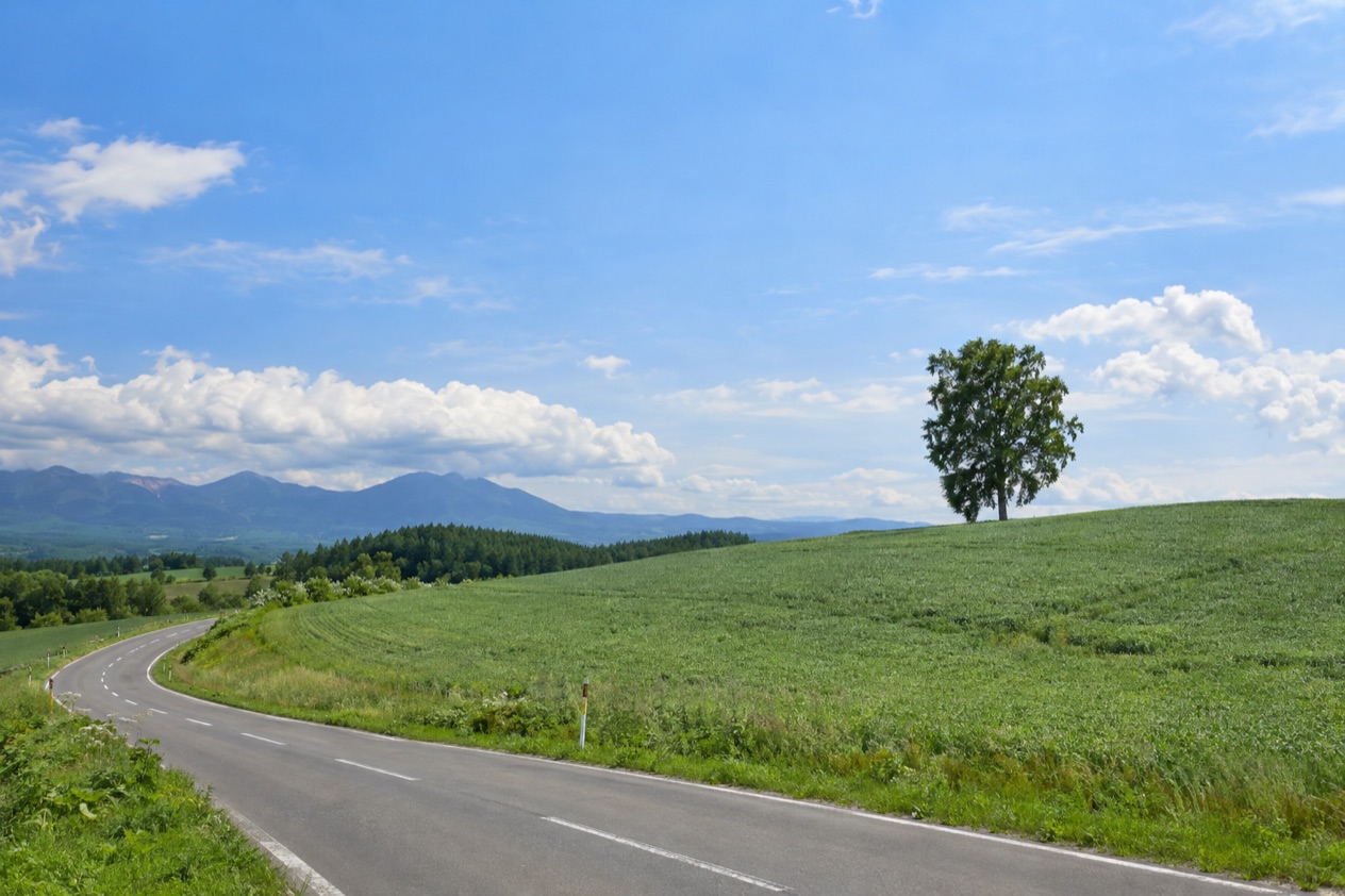 The hills of Hokkaido