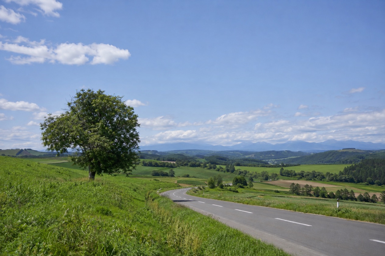 The hills of Hokkaido