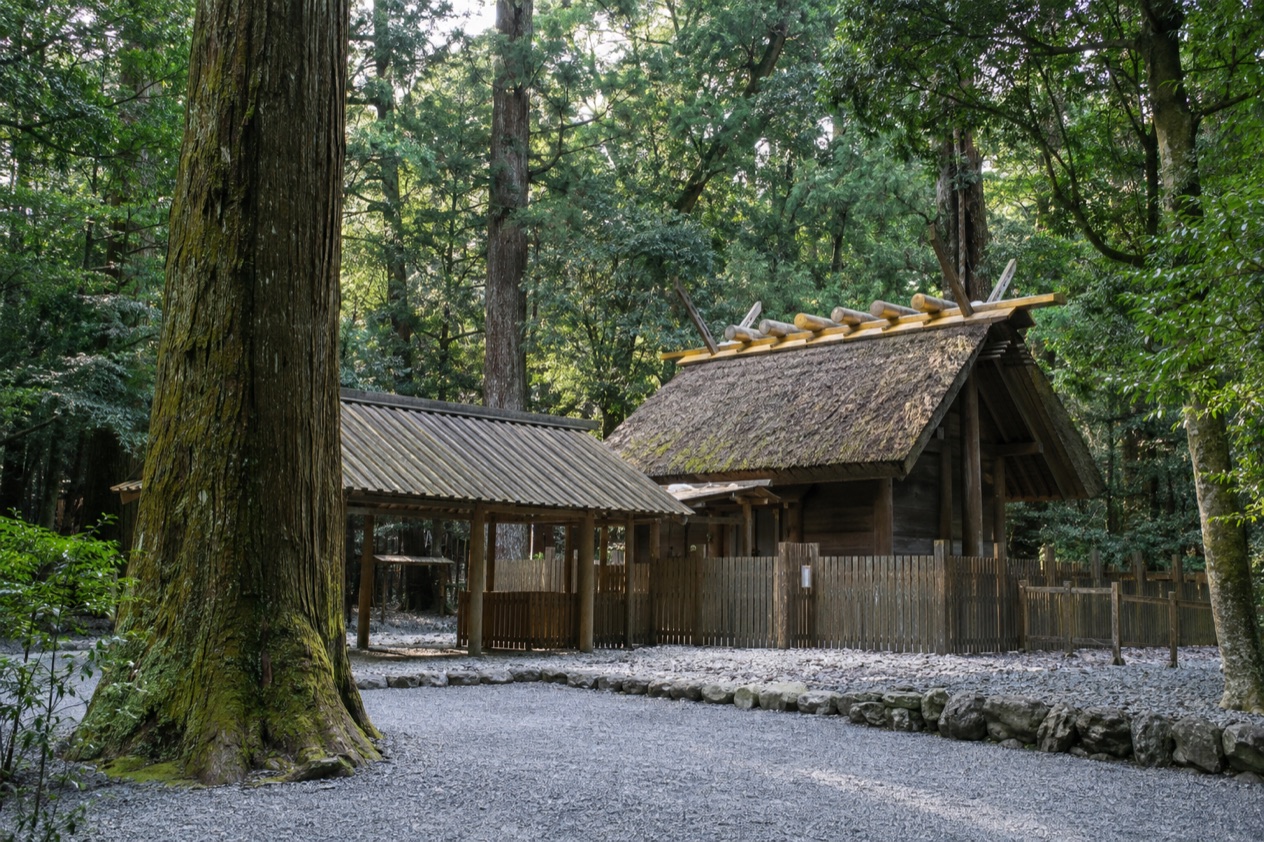 The shrine forest at Ise