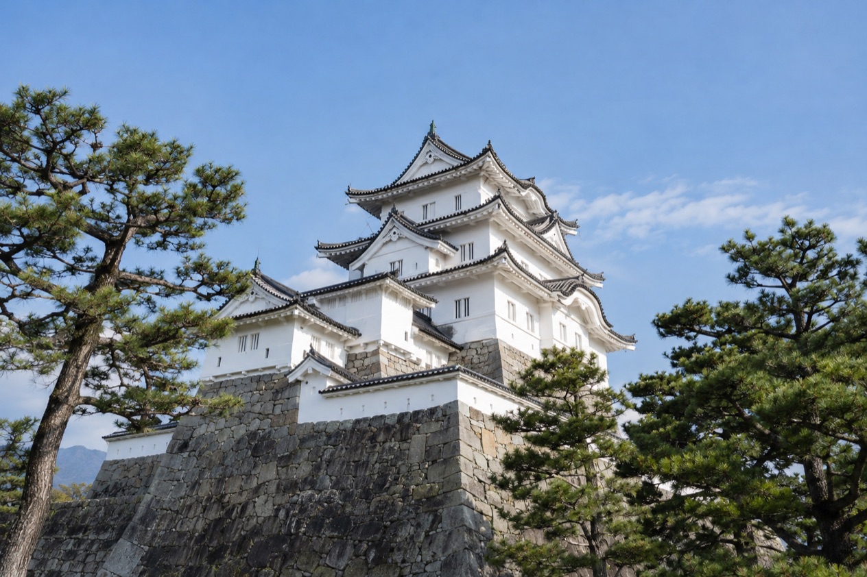 A Japanese castle