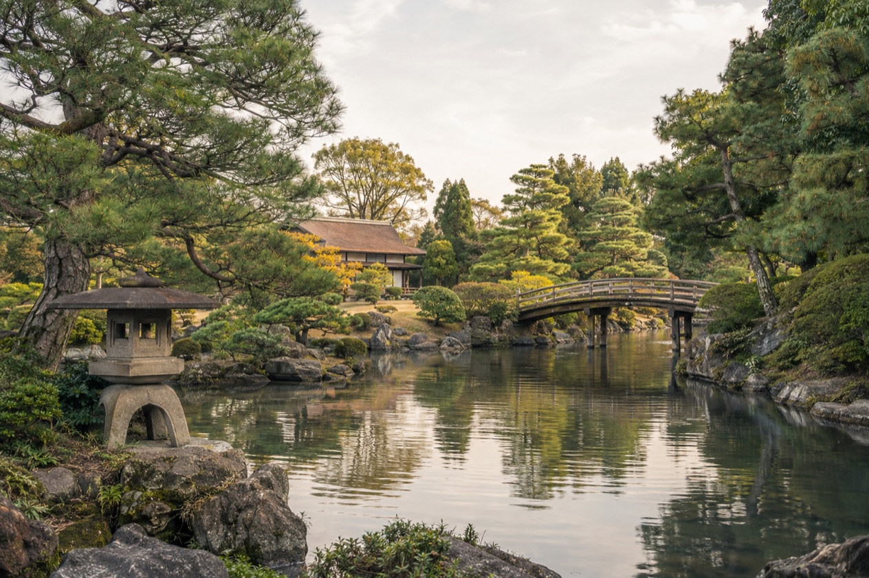 A Japanese garden
