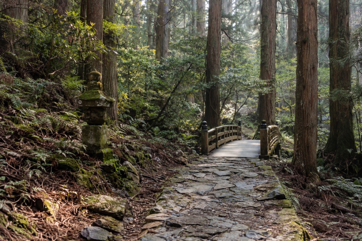 A forest trail in Japan