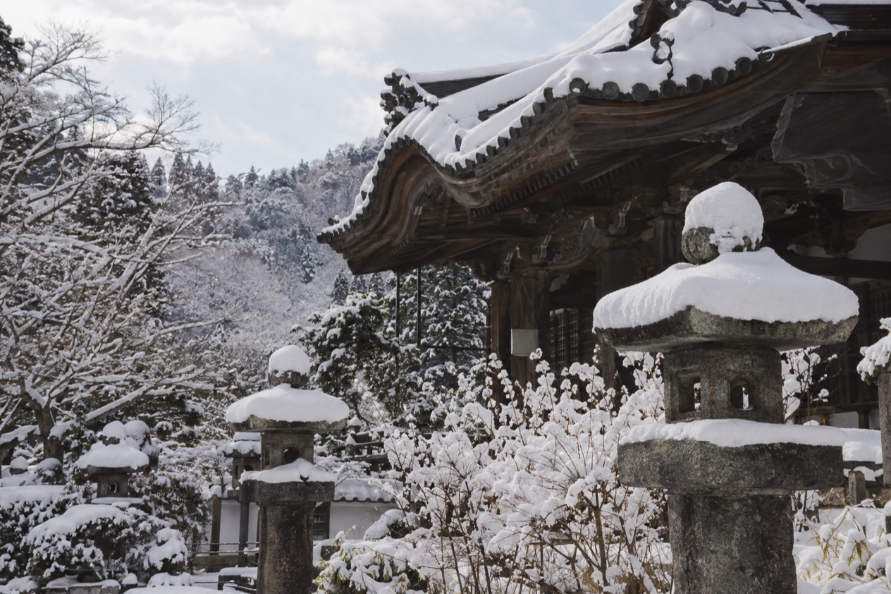 A garden in the snow