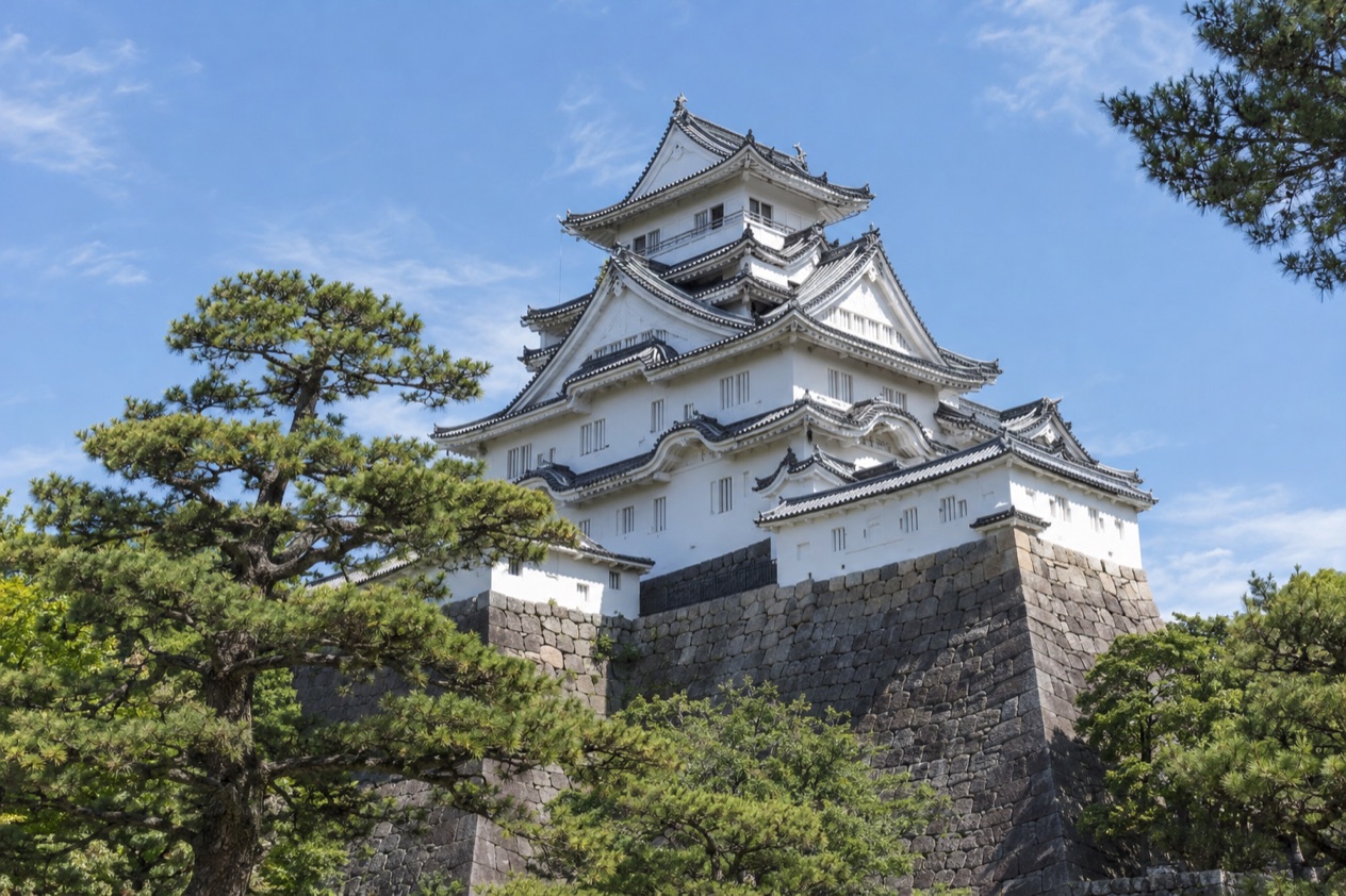 A Japanese castle