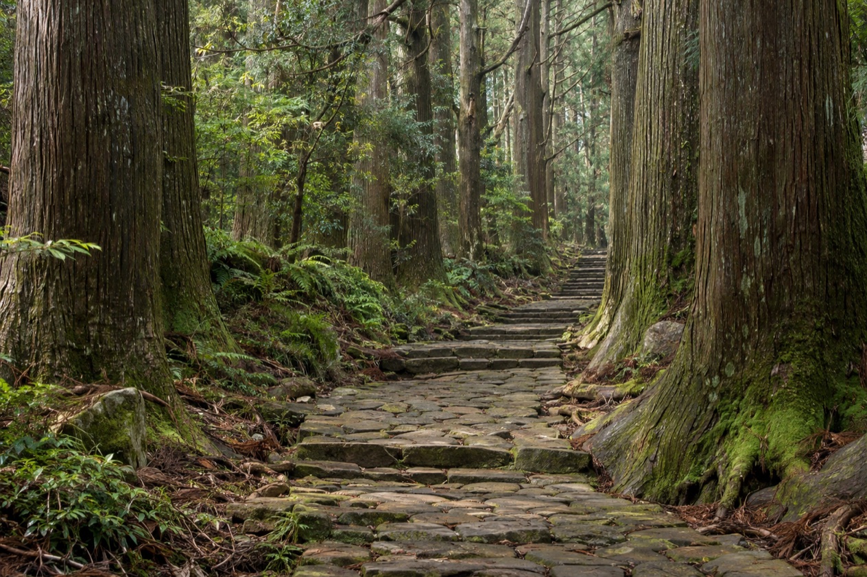 A pilgrimage trail on the Kii Peninsula