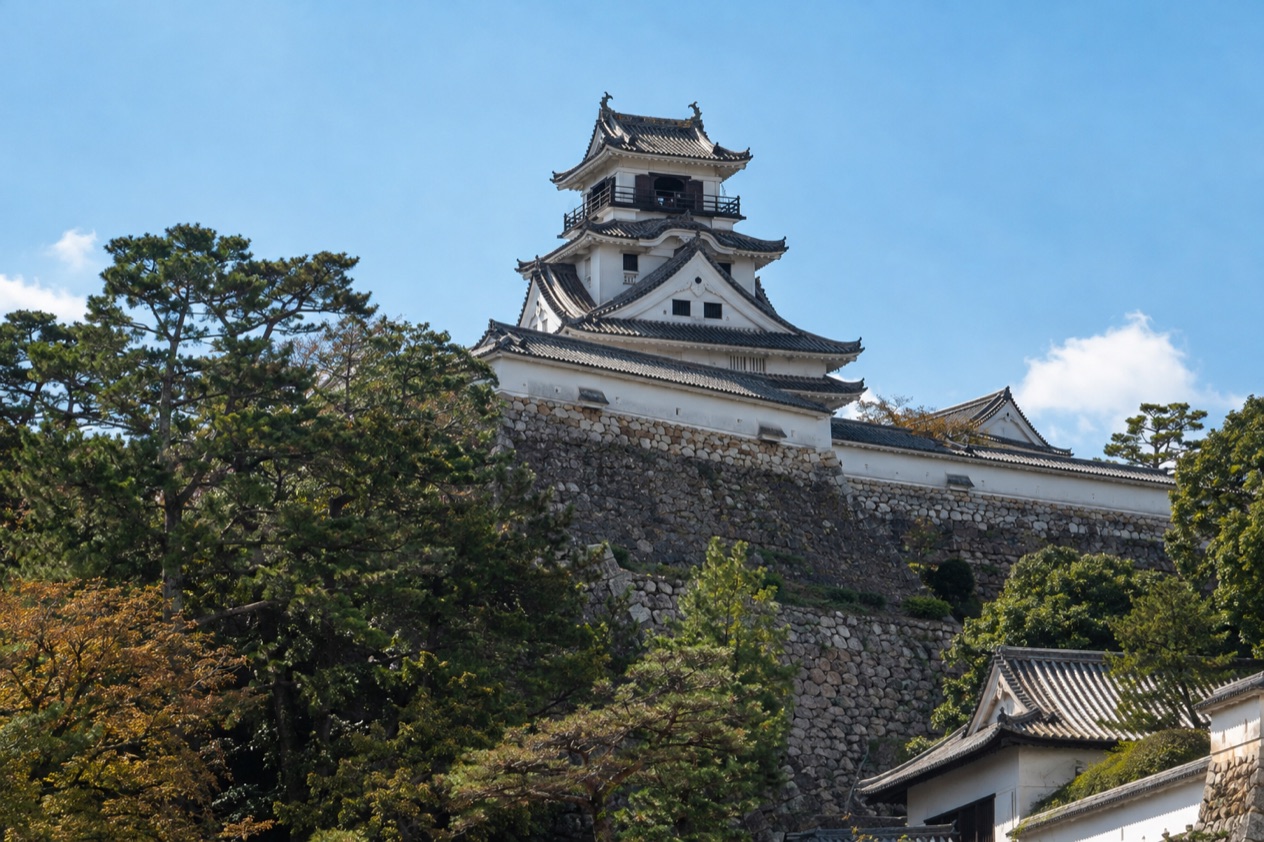 Kochi Castle