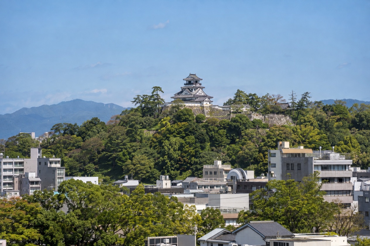 Kochi Castle