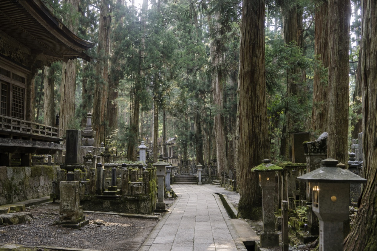 Koyasan Temple Stay and Okunoin