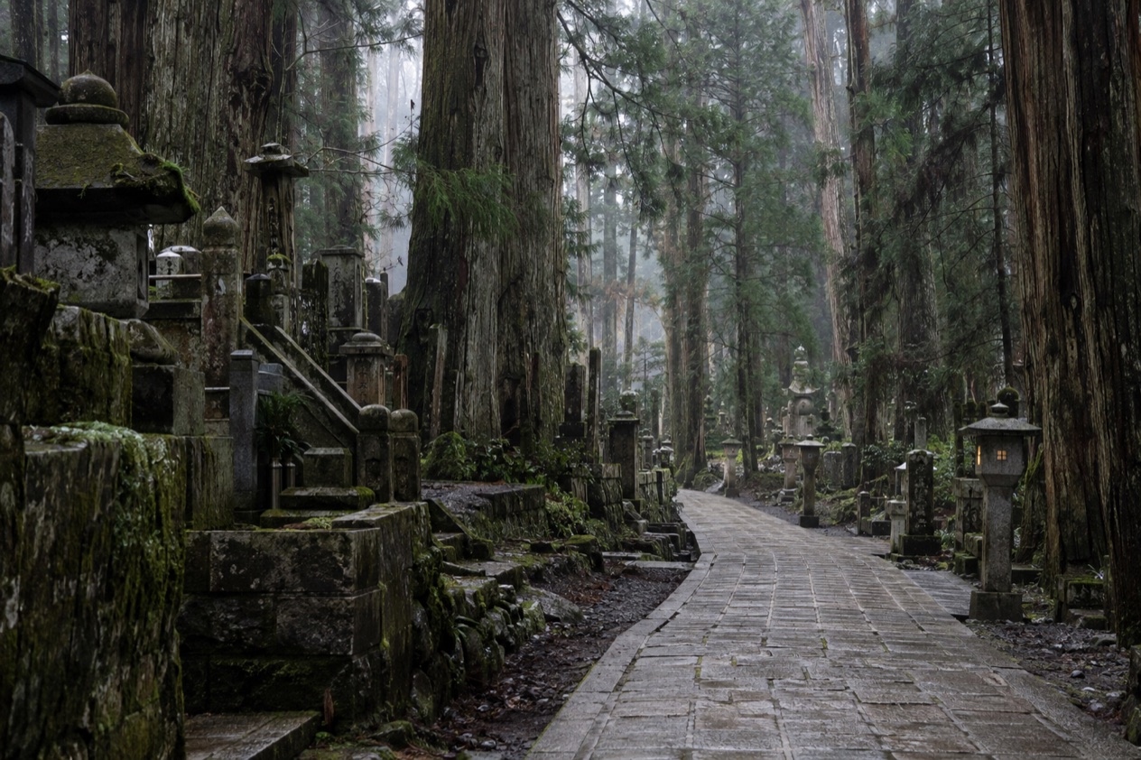 The cedar forest at Koyasan