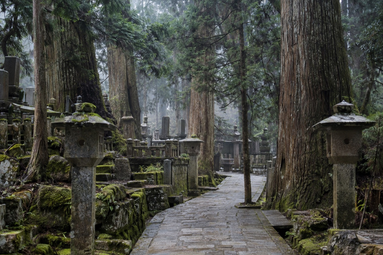 The cedar forest at Koyasan
