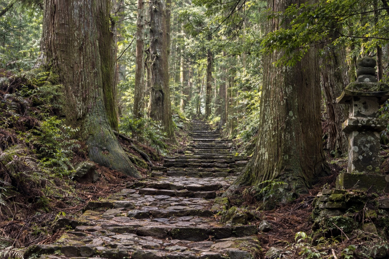 Kumano Kodo Pilgrimage Trails