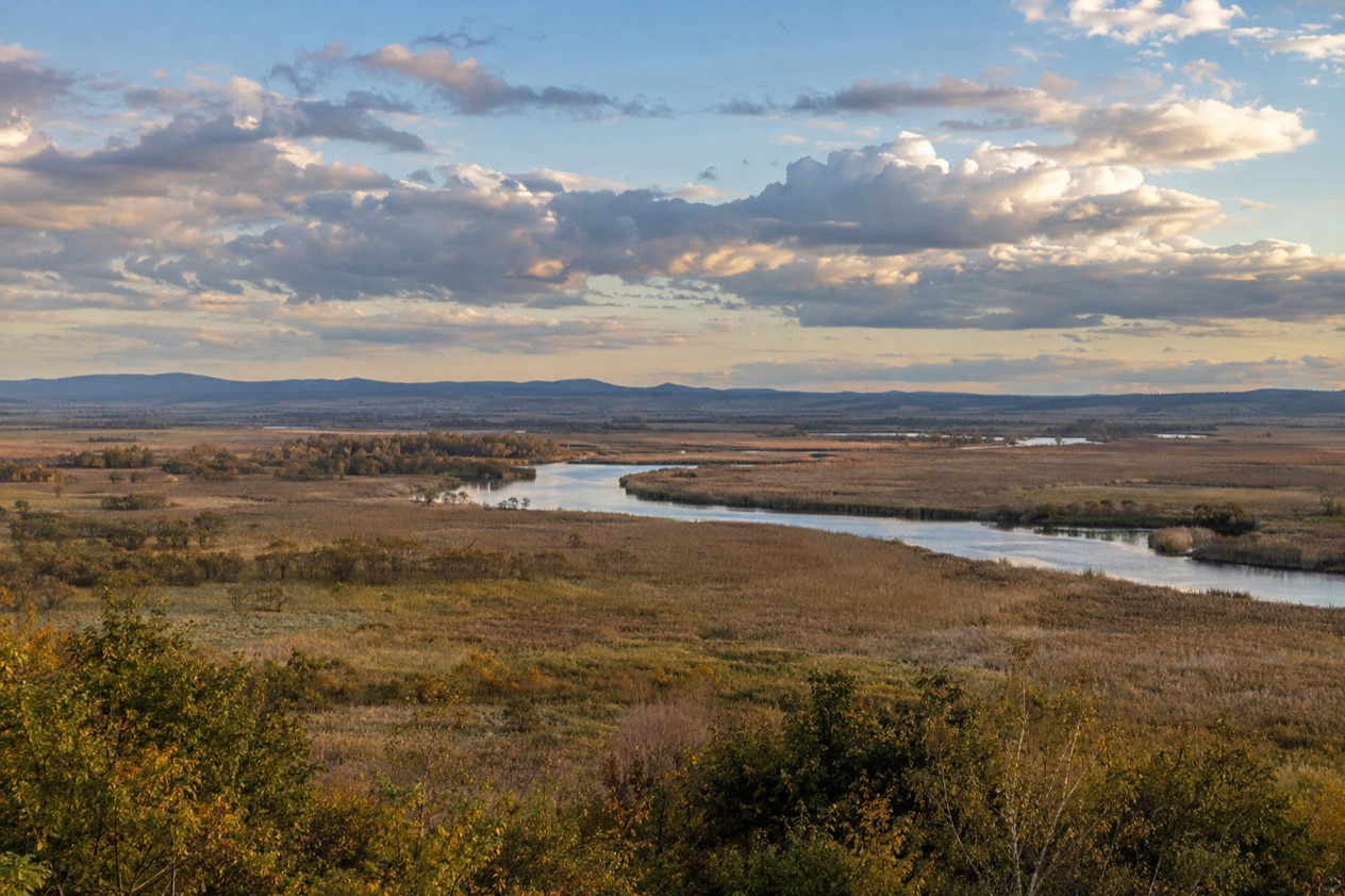 The Kushiro wetland