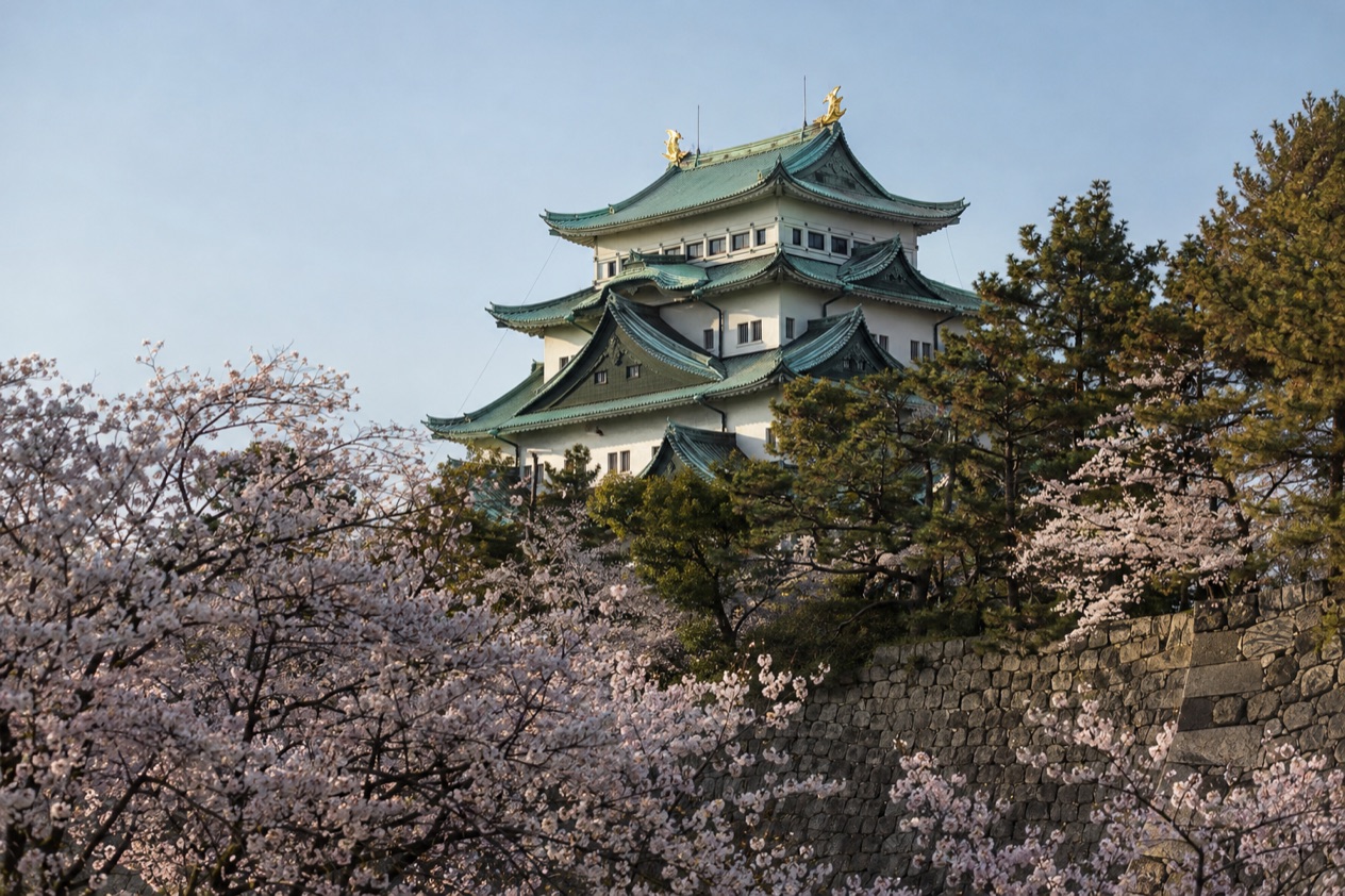 Nagoya Castle in the cherry blossom season