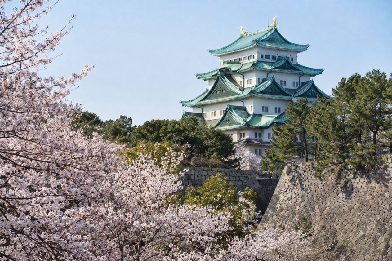 Nagoya Castle in the cherry blossom season