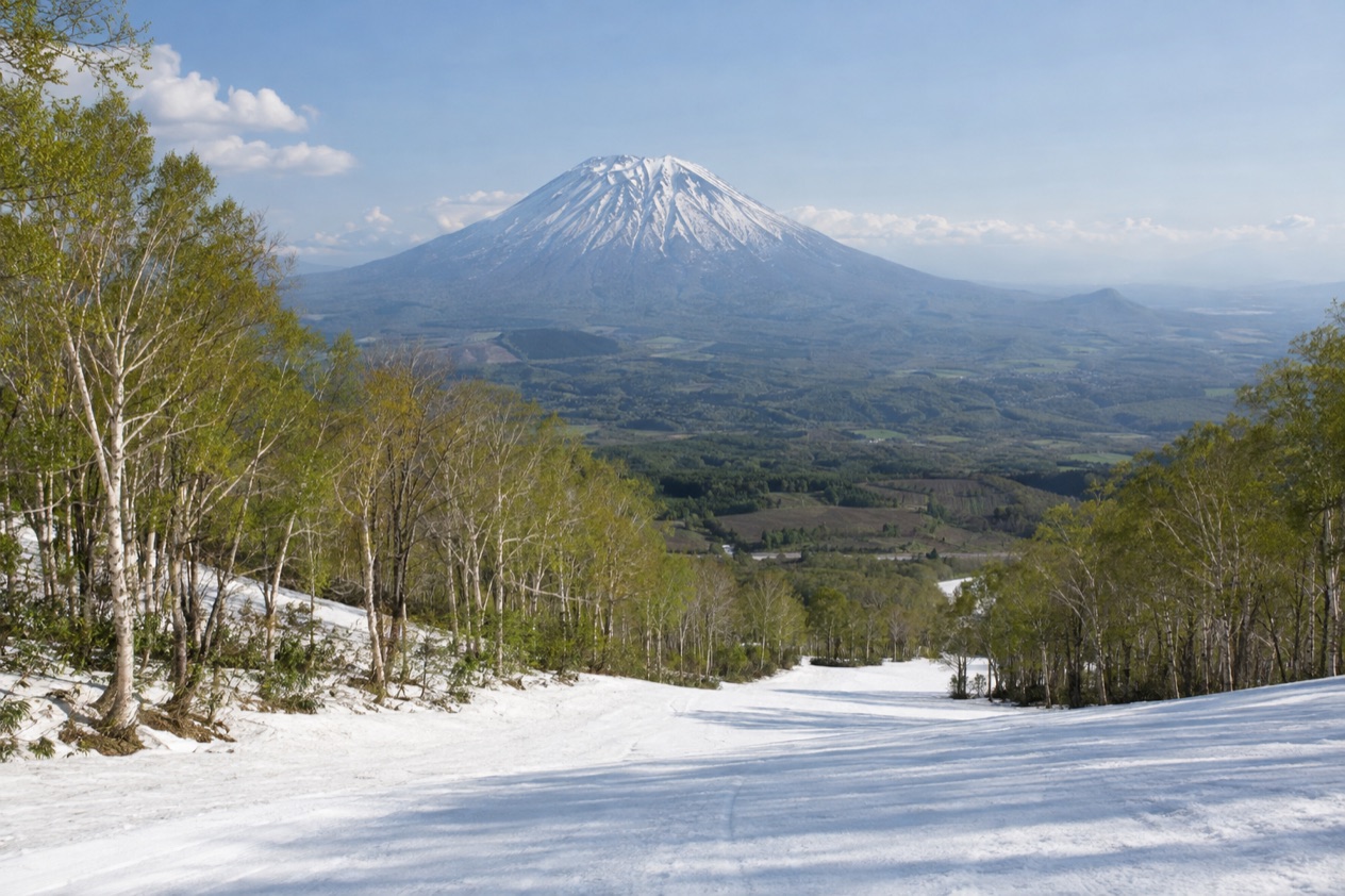 The slopes at Niseko in spring