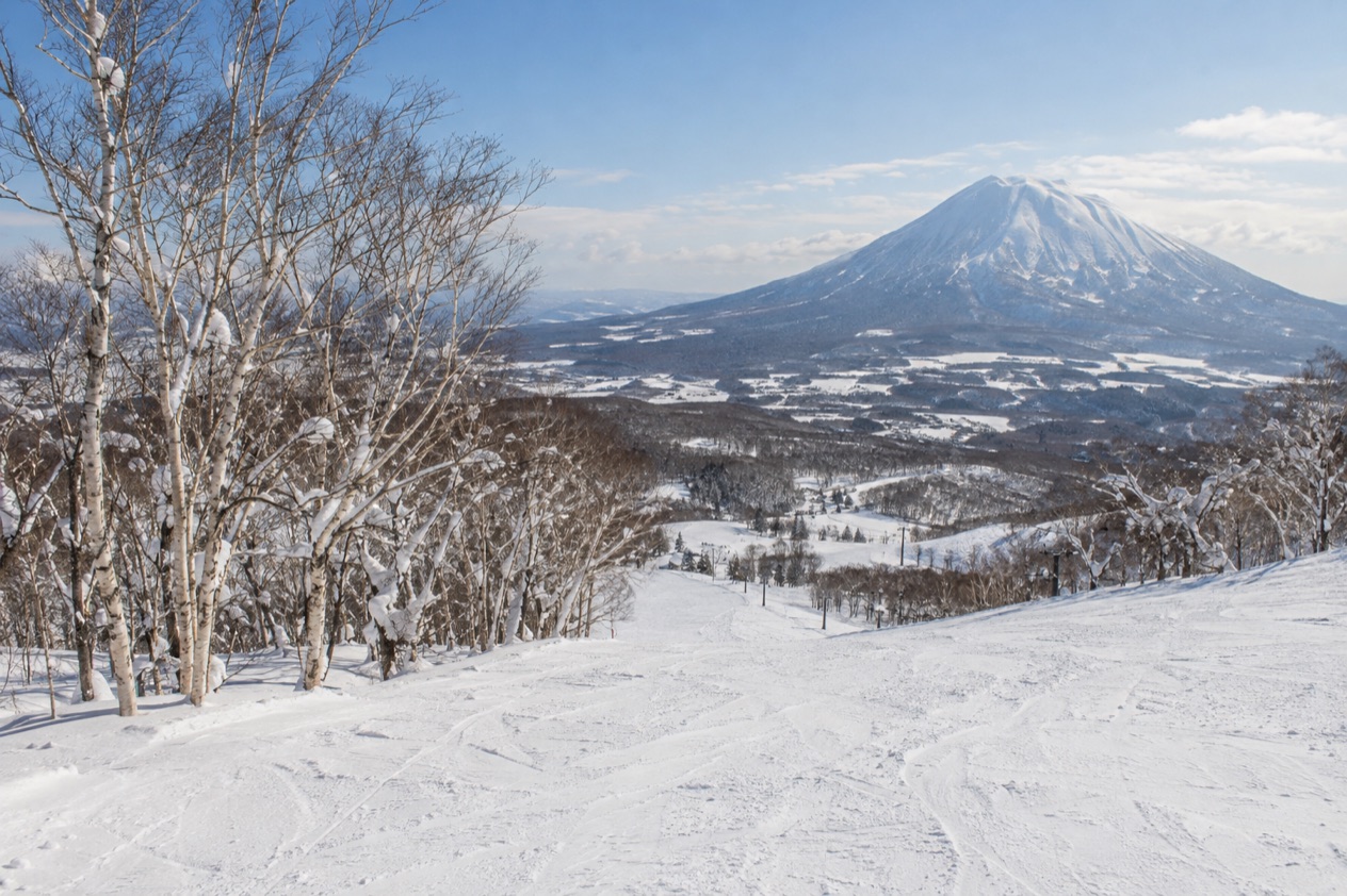 The slopes at Niseko in summer