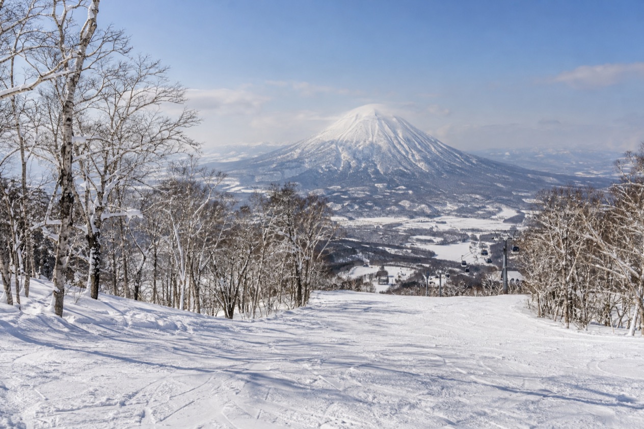The slopes at Niseko in summer