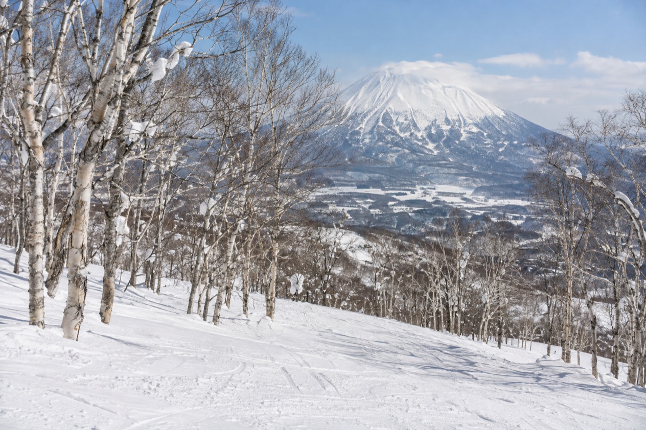 The slopes at Niseko in the rainy season