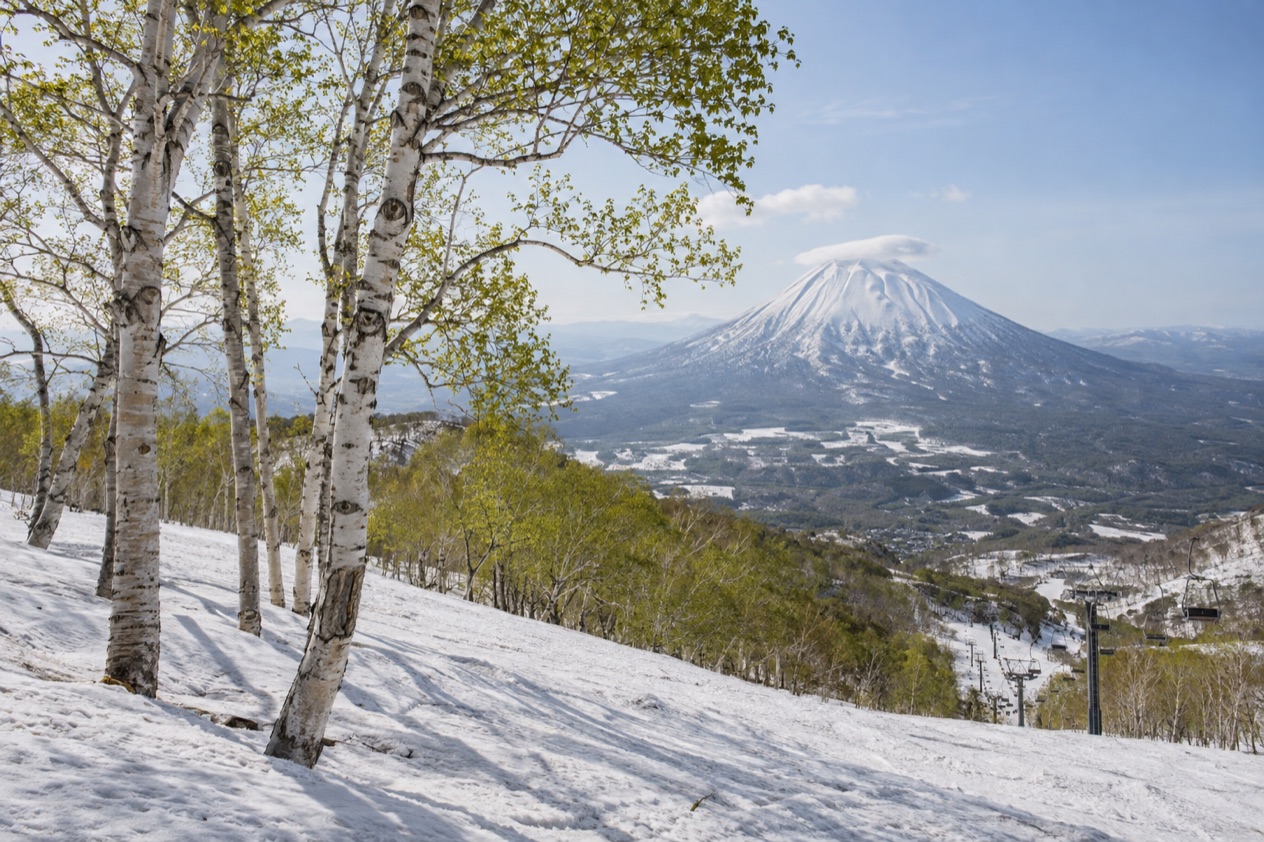 The slopes at Niseko in spring