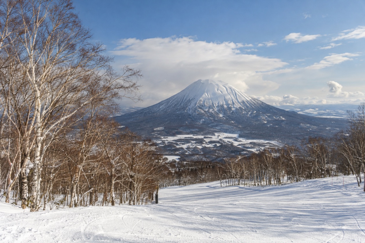 The slopes at Niseko in early autumn
