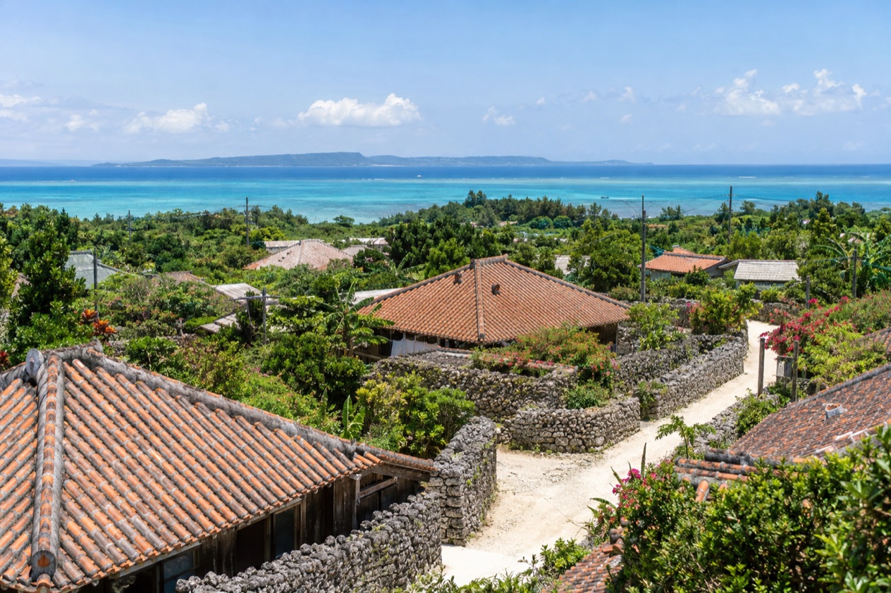 Okinawa Longevity and the Blue Zone