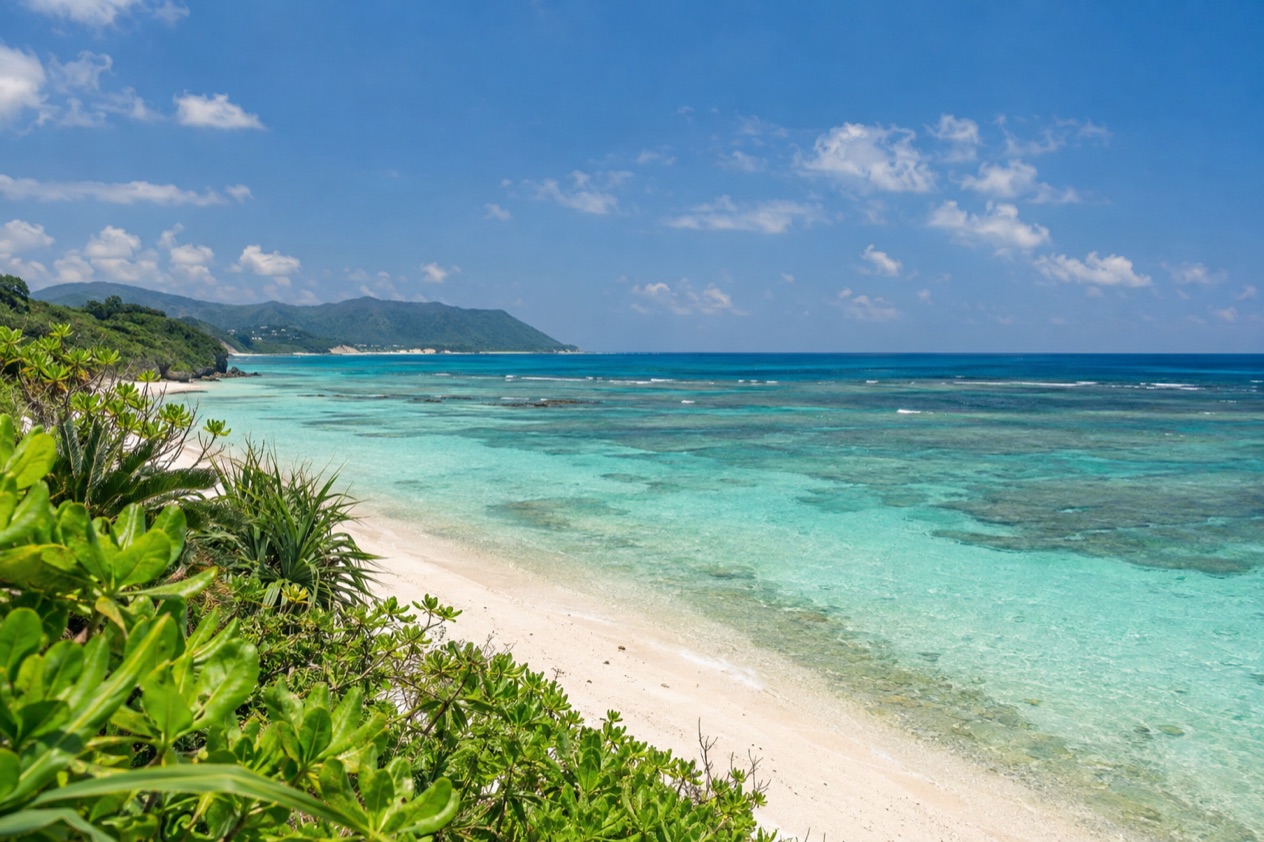 A beach on Okinawa in spring