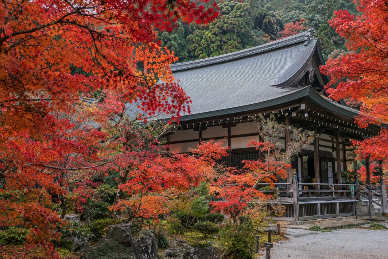 Red maple leaves around a temple