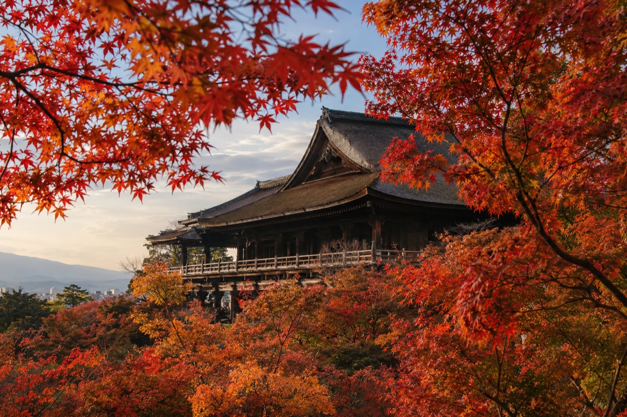 Red maple leaves around a temple