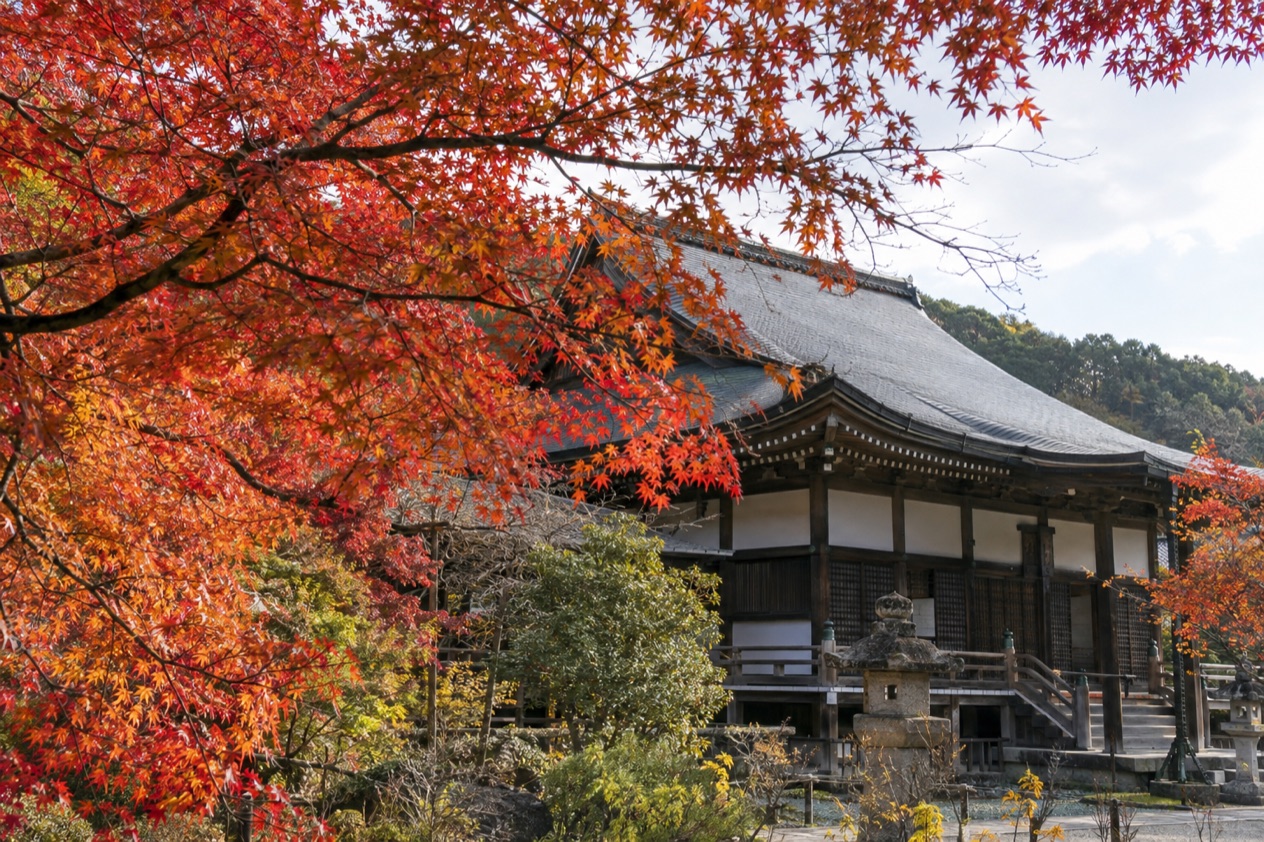 Red maple leaves around a temple